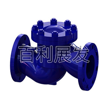 National standard lift check valve