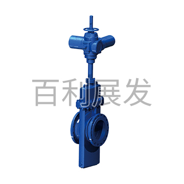 Flast Single Gate Valve With Guide Hole