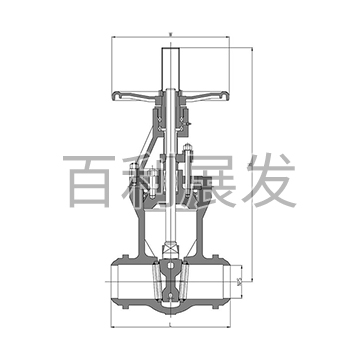 1500 pound gate valve