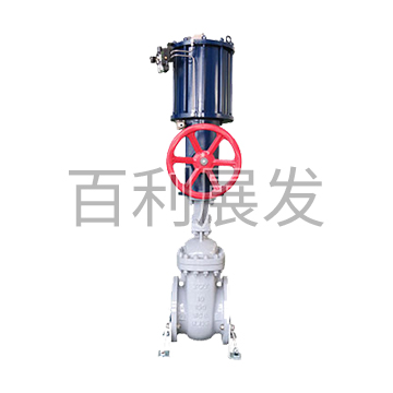 Parallel double gate valve